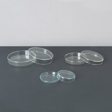 Petri Dish